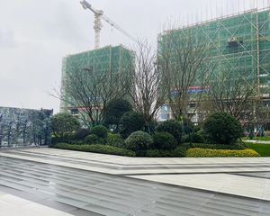 星河WORLD三期4室2厅南