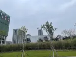 实景图在建工地