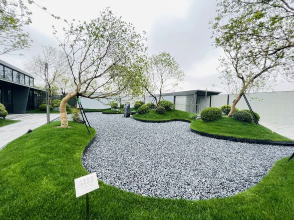 绿城柳岸晓风实景图