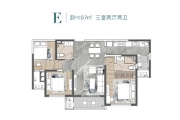 老三届·悦湖3室2厅1厨2卫建面107.00㎡