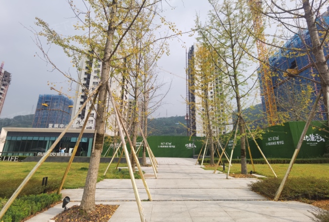 融堃北麓云山实景图