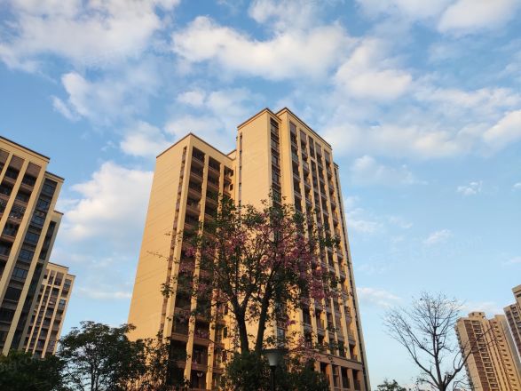 【台山敏捷御府小区,二手房,租房】- 台山房天下