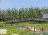 沣河湿地公园