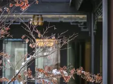 杨柳郡 3室2厅 南 北