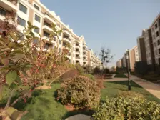 一楼带花园,4层顶洋房,没有贷款,满两年,直通地下