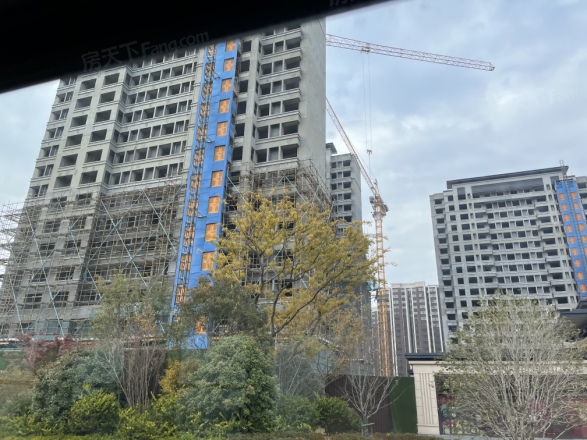 江宁孔雀城紫樾澜庭实景图