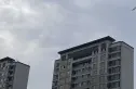 江宁孔雀城紫樾澜庭实景图