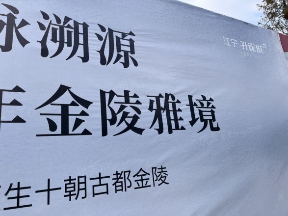 江宁孔雀城紫樾澜庭实景图