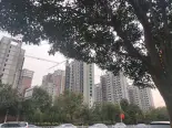 在建工地