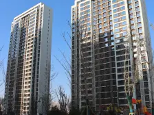 碧桂园二期 精装平层带家具 可视体育公园