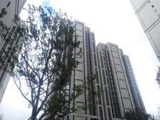 龙悦华府142平,业主诚心出售,户型好,能看海户型