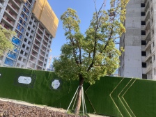 科技城·大悦澜庭·3室·2厅