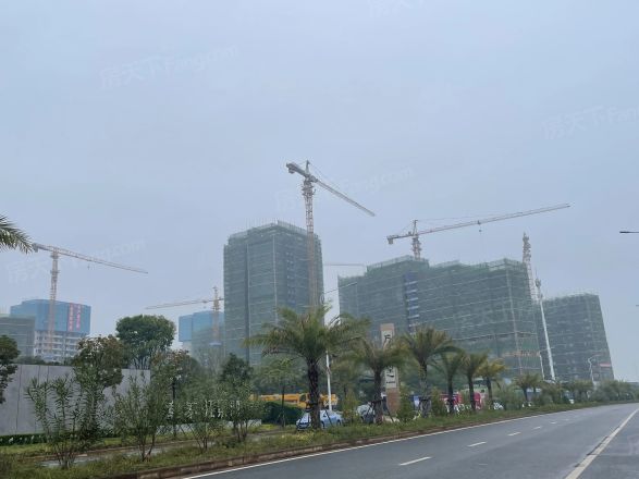 万科公望实景图