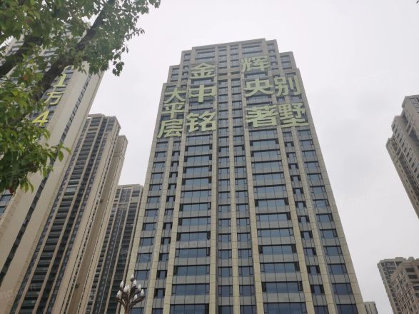 金辉中央铭著实景图