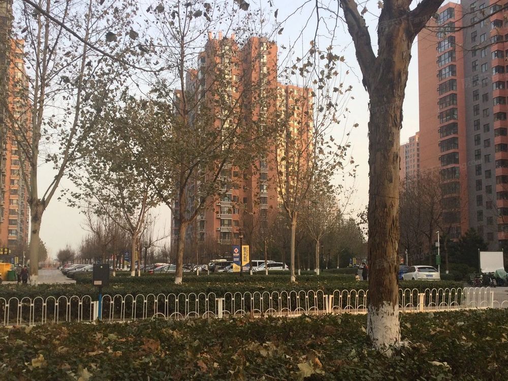 小区相关图