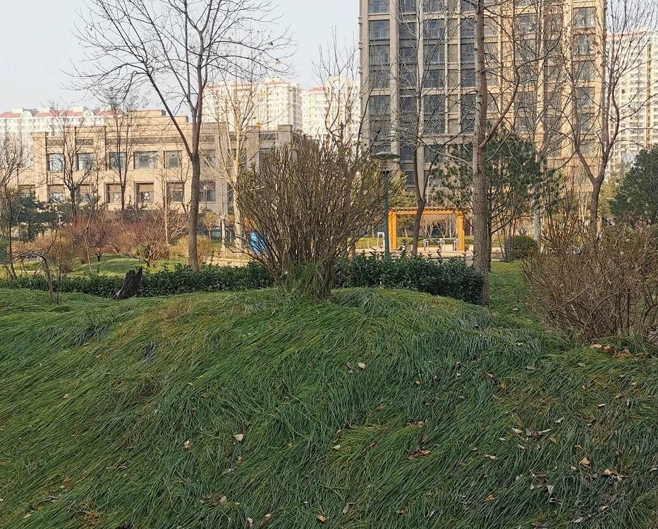 小区相关图