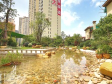 海边第二排别墅前后花园大户型方正产权清晰诚售