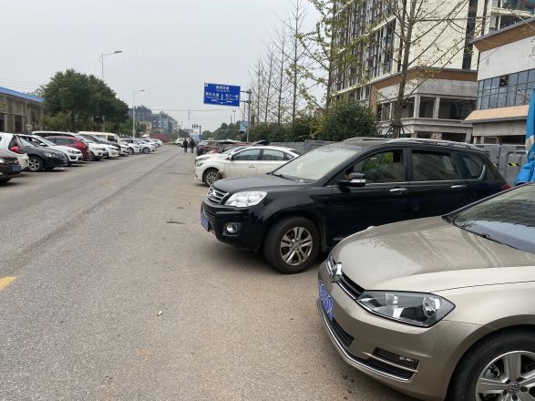 华远碧桂园·海蓝城实景图
