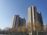 在建工地实景图