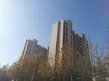 在建工地实景图