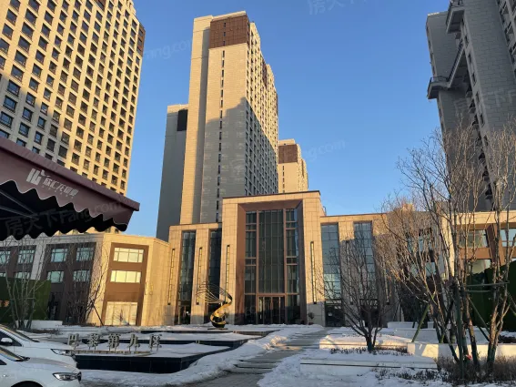 汇龙巴黎第九区