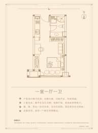 凤凰国际1室1厅1厨1卫建面53.02㎡