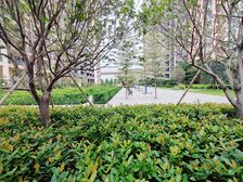 海雅缤纷城1室1厅南