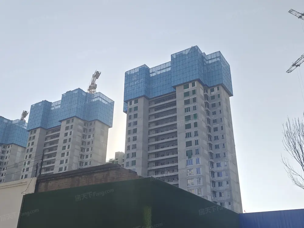 实景图