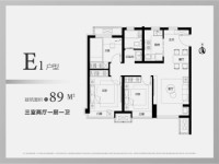 标准层E1户型