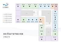 B座户型分布图