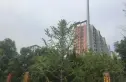 金地世纪城格林郡实景图