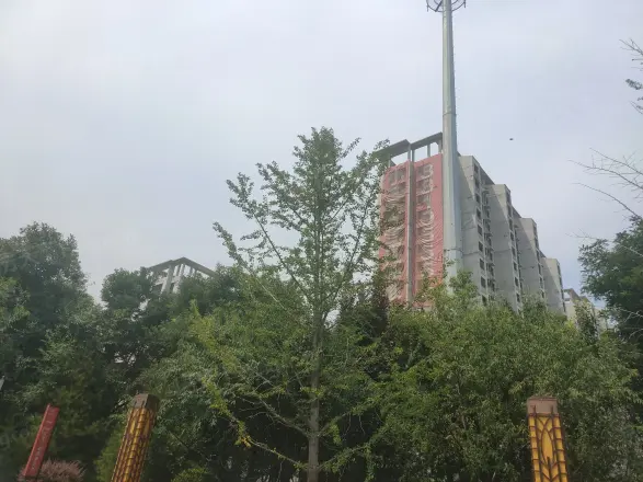 金地世纪城格林郡实景图