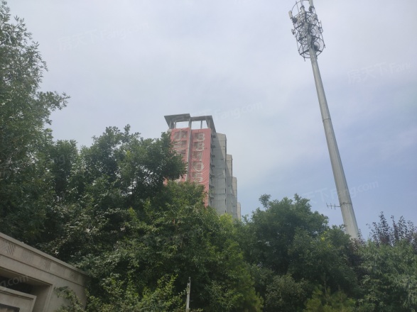 金地世纪城格林郡实景图