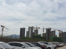 石家庄碧桂园 3室2厅 南