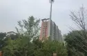 金地世纪城格林郡实景图