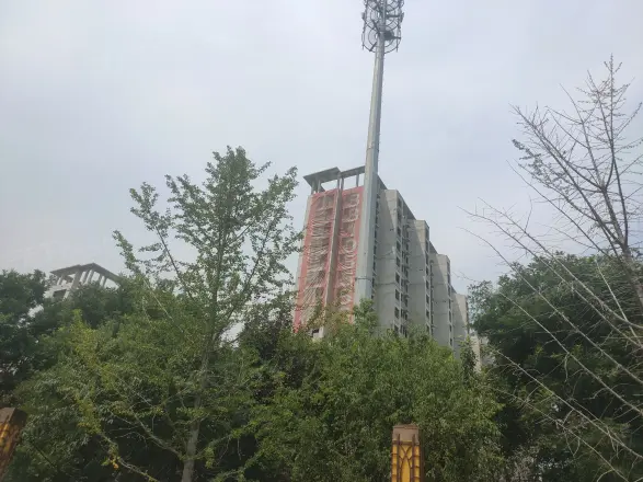金地世纪城格林郡实景图