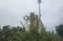 金地世纪城格林郡实景图
