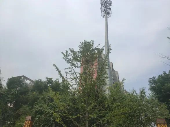 金地世纪城格林郡实景图
