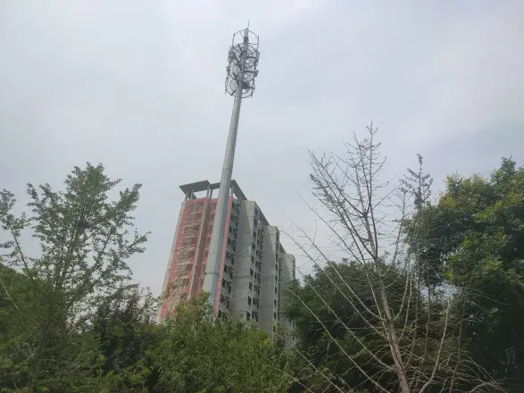 金地世纪城格林郡实景图