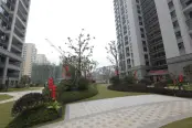 小区环境