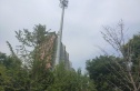 金地世纪城格林郡实景图