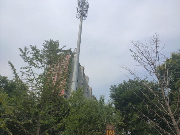 金地世纪城格林郡实景图