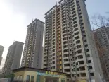 在建工地实景图