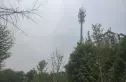 金地世纪城格林郡实景图