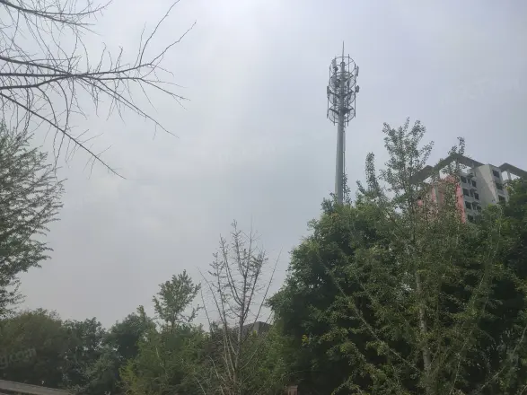 金地世纪城格林郡实景图