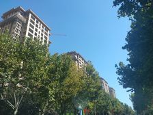 一楼带院,双阳卧,全明户型小高层