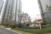 小区环境
