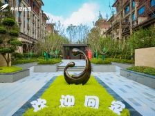 碧桂园三期 电梯小洋房户型方正 环境优美