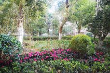 百合御都[九华经济开发区]