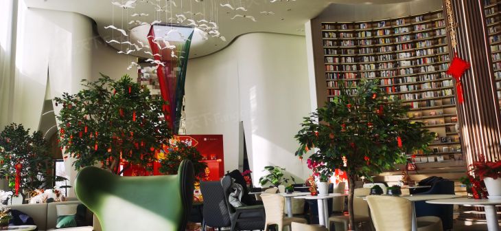 京投发展·锦悦府别墅实景图